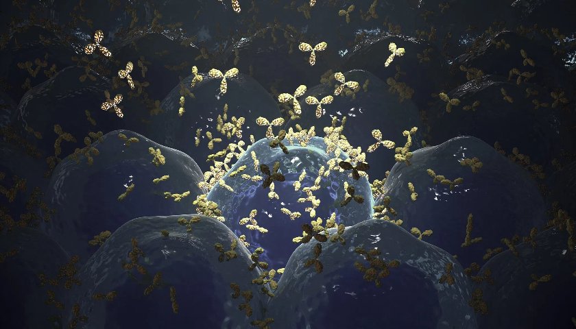 出海不顺的信达生物利润转正，单靠国内市场能维持吗？